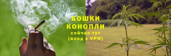 прущая мука Рославль