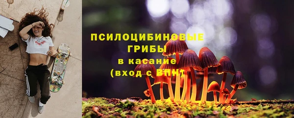 мет Белокуриха